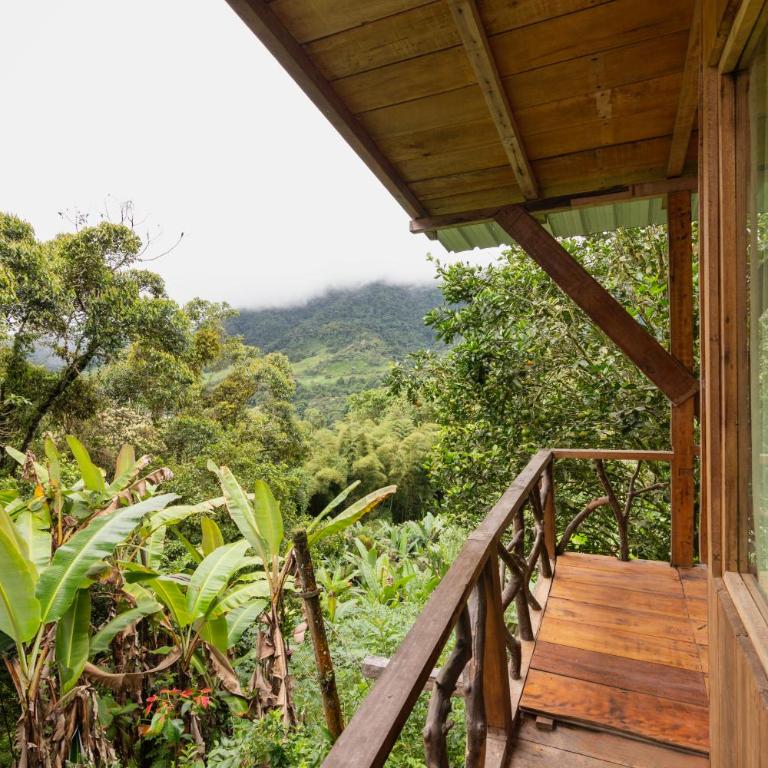 Eden Treehouse - Double Room - 7