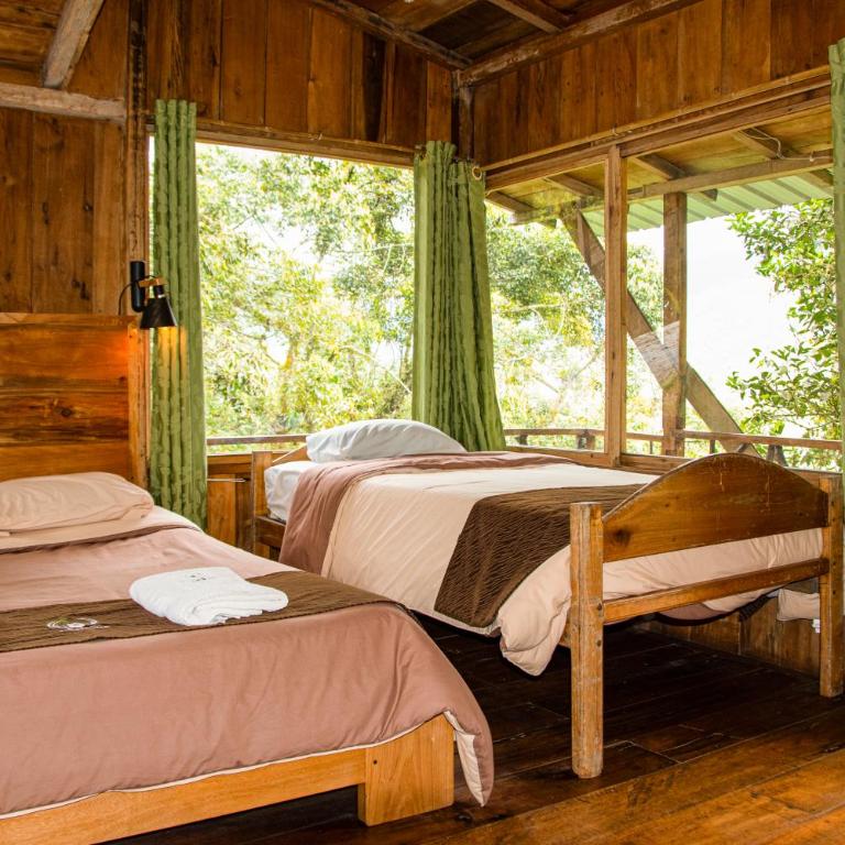 Eden Treehouse - Double Room - 9