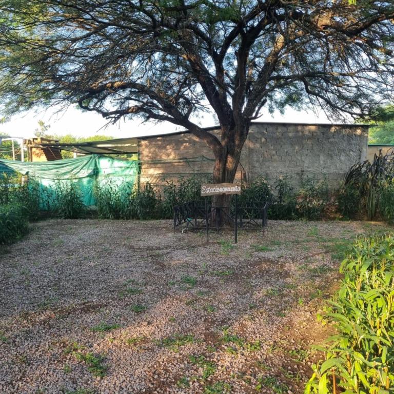 Finca don juan - Casa con 1 dormitorio - 14