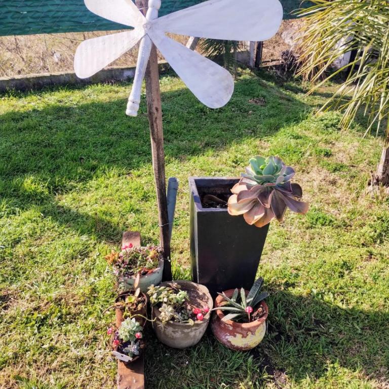 Miatello casa quinta - Apartamento de 1 dormitorio - 12