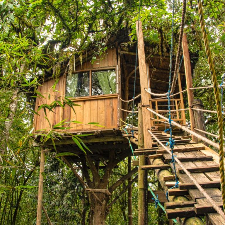 Eden Treehouse - Deluxe Room - 4