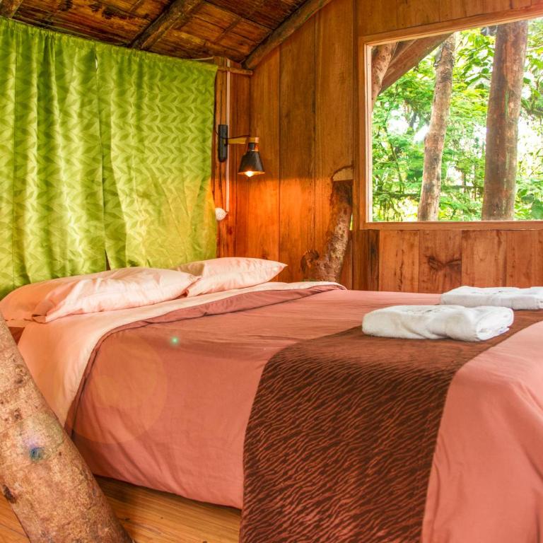 Eden Treehouse - Deluxe Room - 5