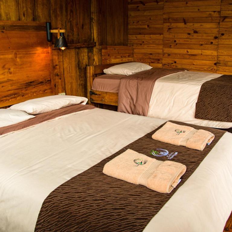 Eden Treehouse - Deluxe Double Room with Bath - 9