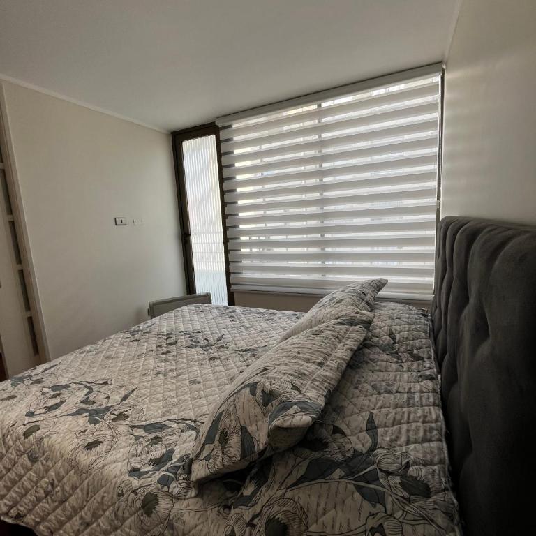 Sunset Providencia 2 - One-Bedroom Apartment - 16