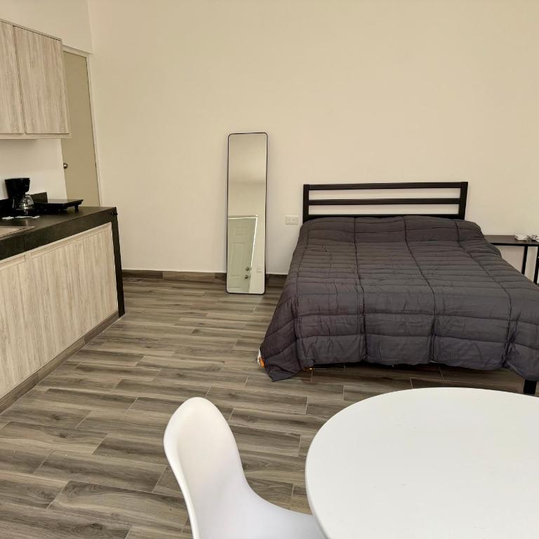 Lofts en Colonia Tec - One-Bedroom Apartment - 1