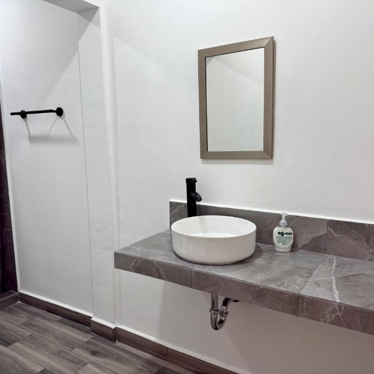 Lofts en Colonia Tec - One-Bedroom Apartment - 11
