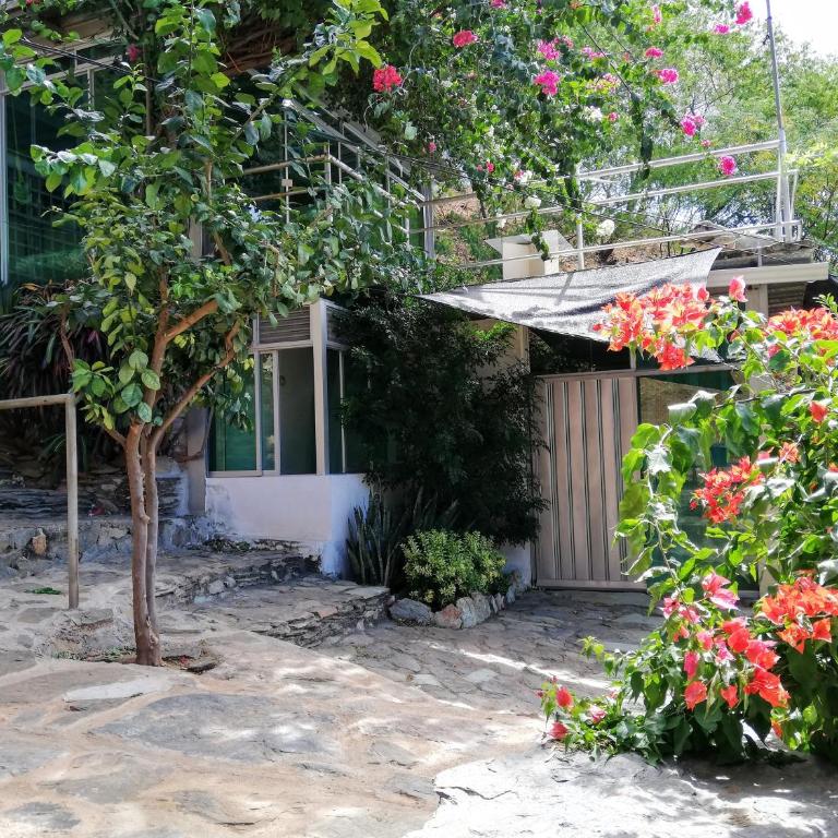 IronHouse Taganga Apartasuite - One-Bedroom Apartment with Terrace - 4