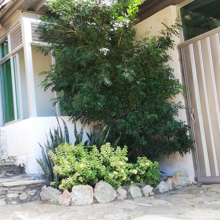 IronHouse Taganga Apartasuite - One-Bedroom Apartment with Terrace - 6