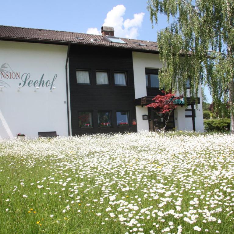 Landhaus Seehof - Einzelzimmer - 4