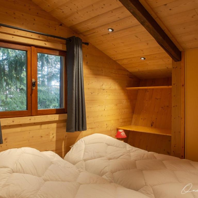 Superbe chalet 6 ch. au pied du domaine des 2 Alpes - Chalet - 26