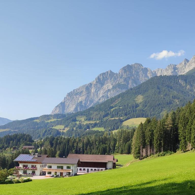 Urlaub auf den Land - Mühlauhof - Apartment mit 3 Schlafzimmern - 1