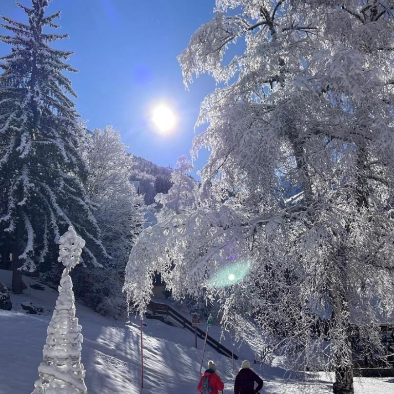 Appartement cosy 5-6p aux pieds des pistes 2 chambres 2 sdb - Appartement 2 Chambres - 31