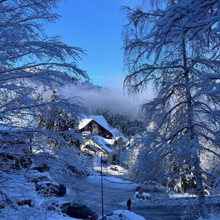 Appartement cosy 5-6p aux pieds des pistes 2 chambres 2 sdb - Appartement 2 Chambres - 35
