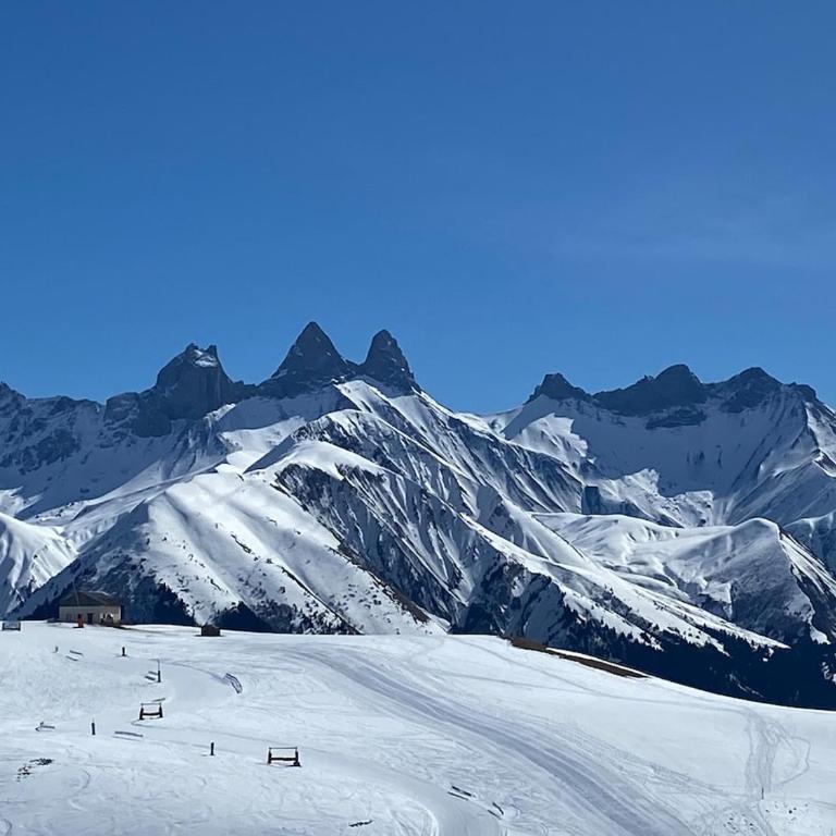 STUDIO pieds des pistes et remontées mécaniques - Studio avec Vue sur Jardin - 10