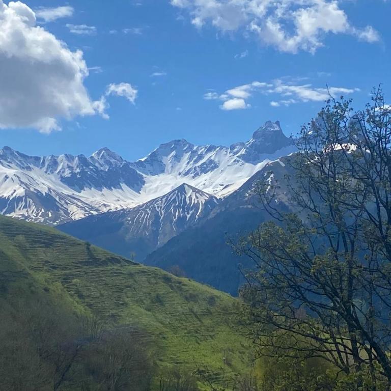 STUDIO pieds des pistes et remontées mécaniques - Studio avec Vue sur Jardin - 11