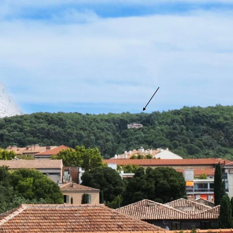 La Farigoule - Sainte-Victoire - Vue exceptionnelle sur Aix-en-Provence - Appartement - Vue sur Jardin - 3