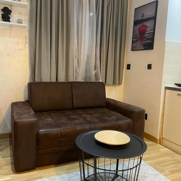 Zlatibor Studio 6 - Studio with Terrace - 39
