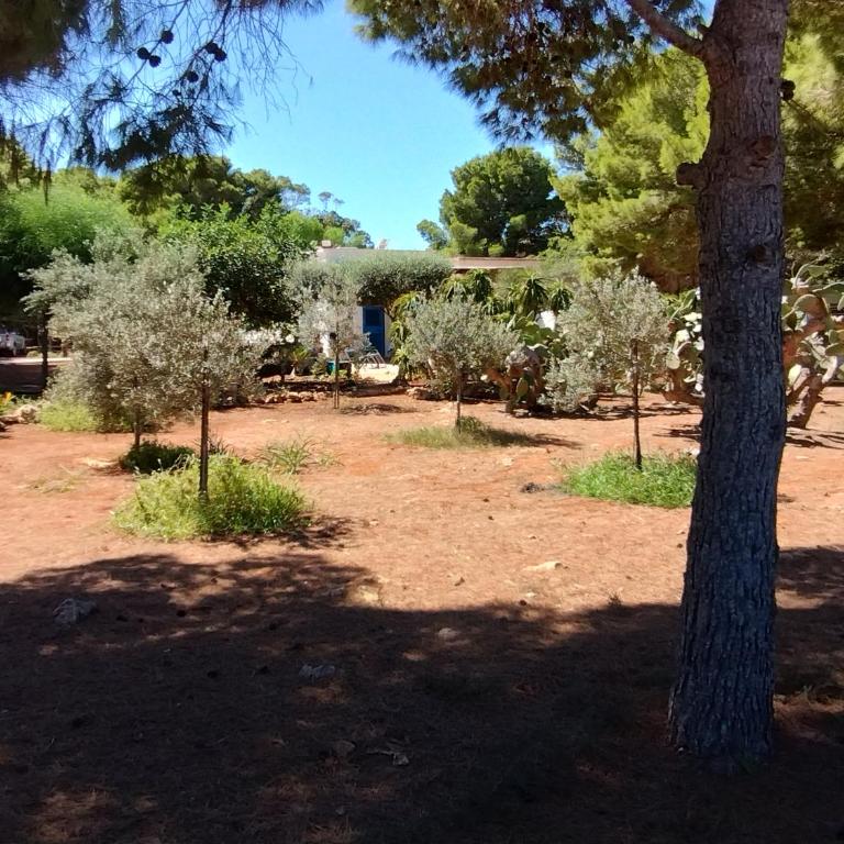 Villa Debora Favignana (TP) - Two-Bedroom House - 21
