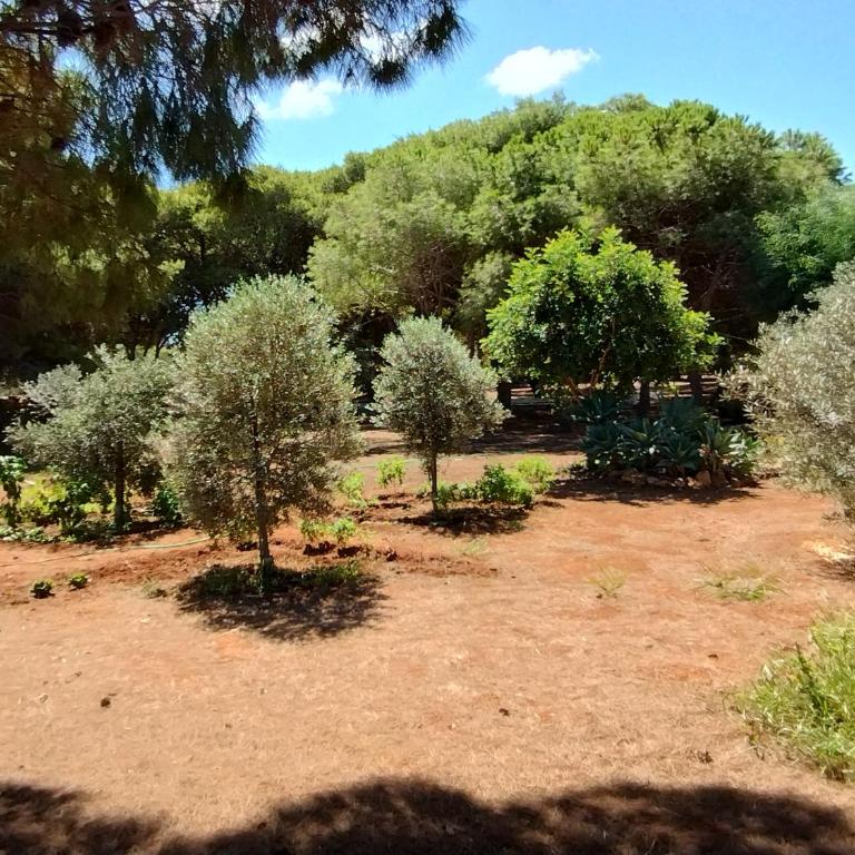 Villa Debora Favignana (TP) - Two-Bedroom House - 15