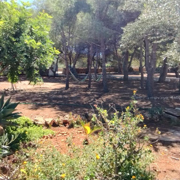 Villa Debora Favignana (TP) - Two-Bedroom House - 16