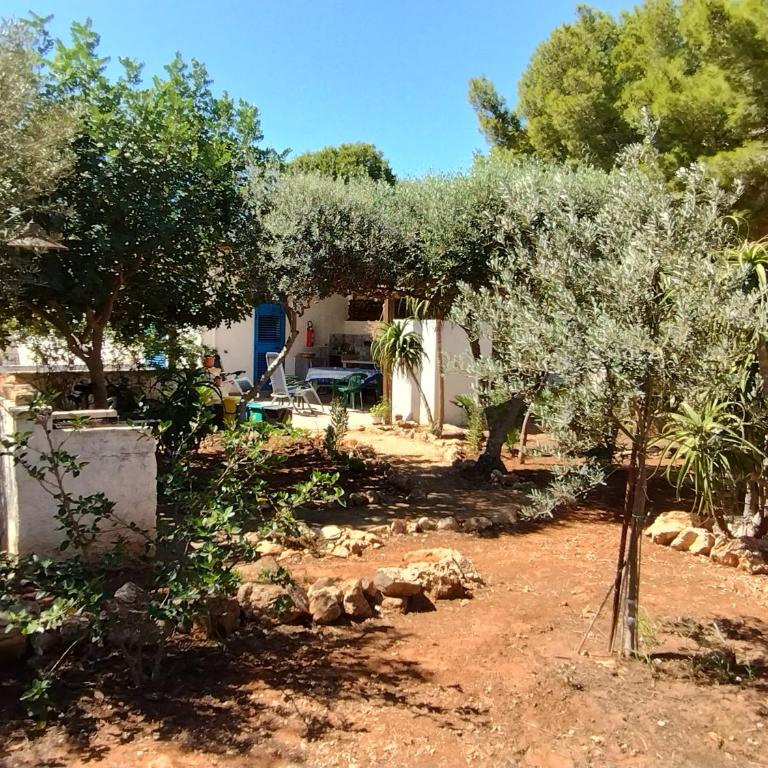Villa Debora Favignana (TP) - Two-Bedroom House - 19