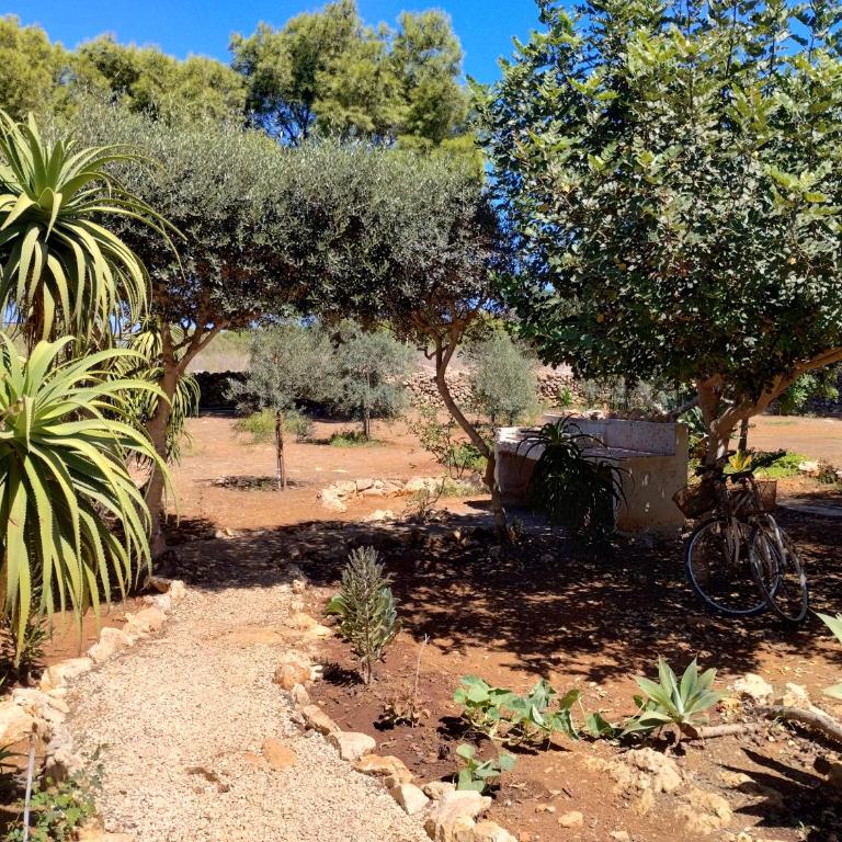 Villa Debora Favignana (TP) - Two-Bedroom House - 25