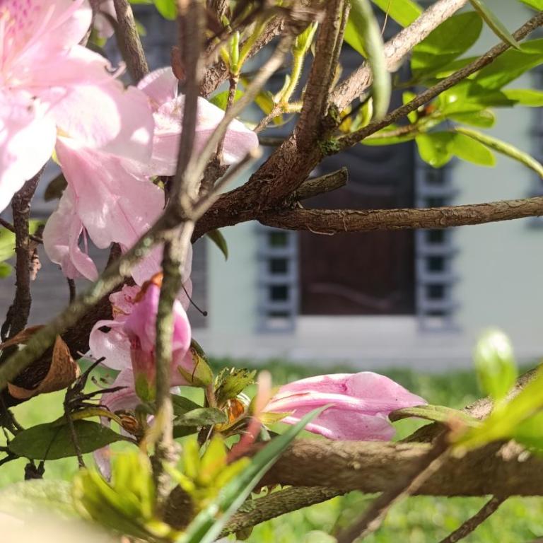 Habitación en la zona centro de Macas con parqueadero privado - Habitación Doble con baño privado - 19