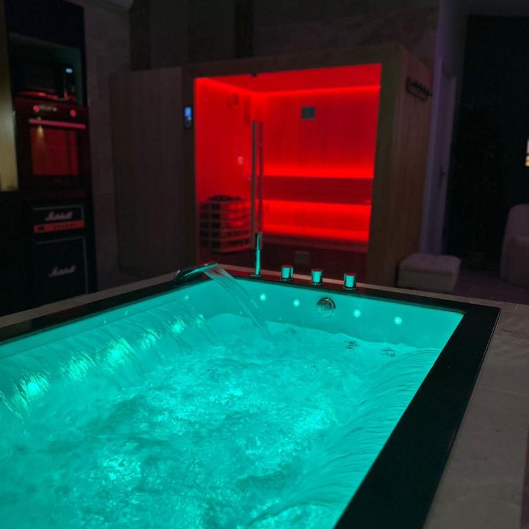 Da Lisa wellness spa proche centre ville - Appartement 1 Chambre - 20