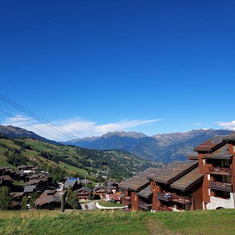 Appartement ski-in/out, proche ESF et commerces, animaux acceptés - Appartement 1 Chambre - 3