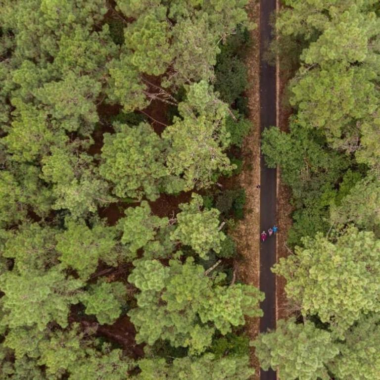 Lacanau, 6 personnes, à côté du lac, sous les pins au calme - Three-Bedroom House - 46
