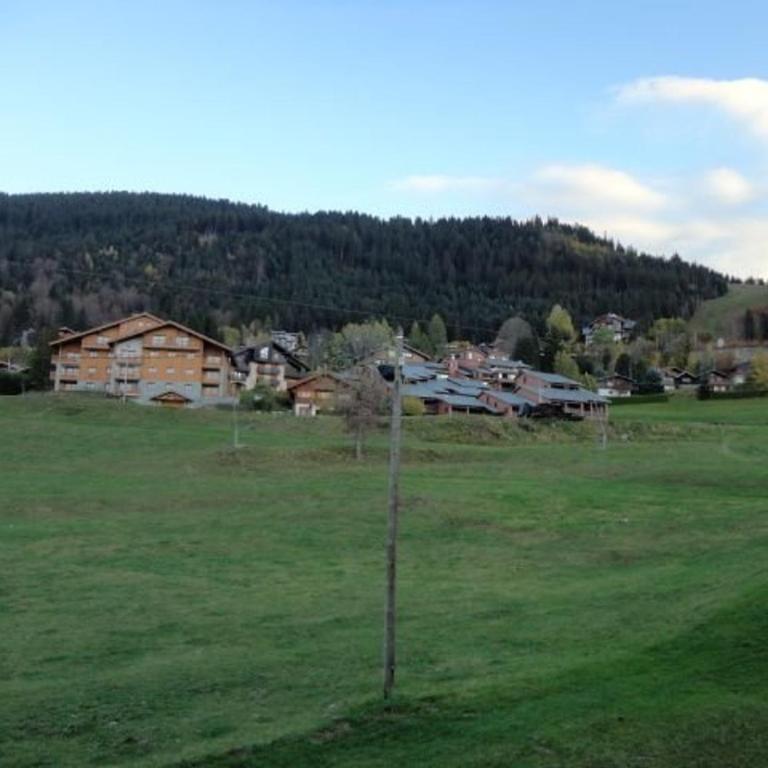 Studio pour 6 pers avec sdd rénovée et parking, sur les pistes - FR-1-572-80 - Studio - 2
