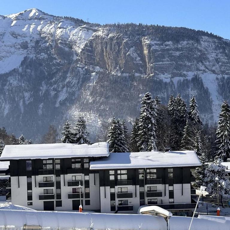 Studio pour 6 pers avec sdd rénovée et parking, sur les pistes - FR-1-572-80 - Studio - 8
