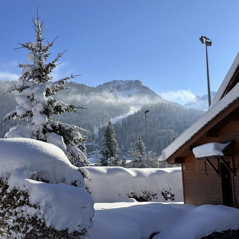 4 pièces spacieux bien équipé avec Wi-Fi et parking, au pied du ski bus - FR-1-572-241 - Appartement (6 Adultes) - 14