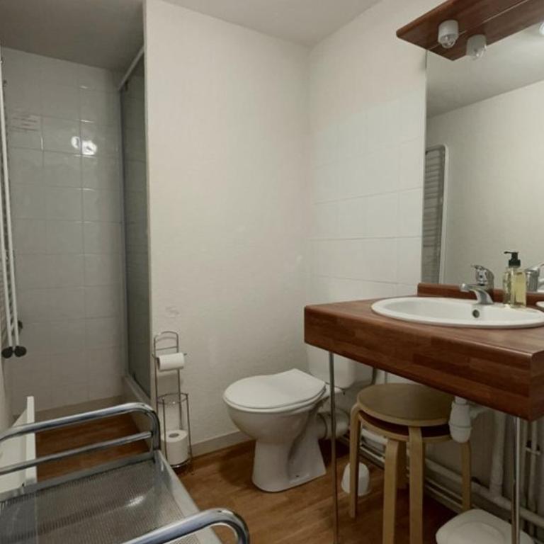 Studio cosy pour 4 proches des pistes aux Carroz d'Arâches - FR-1-572-102 - Studio - 2