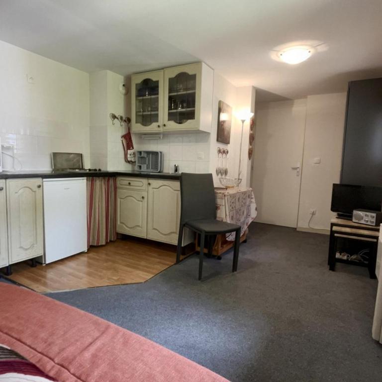 Studio cosy pour 4 proches des pistes aux Carroz d'Arâches - FR-1-572-102 - Studio - 8