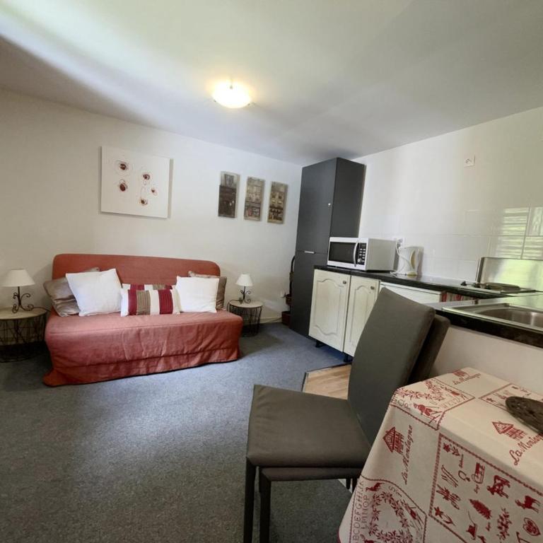 Studio cosy pour 4 proches des pistes aux Carroz d'Arâches - FR-1-572-102 - Studio - 1