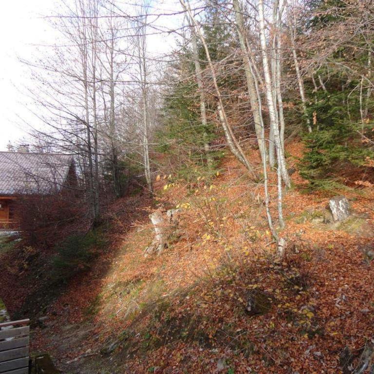 Studio cosy pour 4 proches des pistes aux Carroz d'Arâches - FR-1-572-102 - Studio - 13