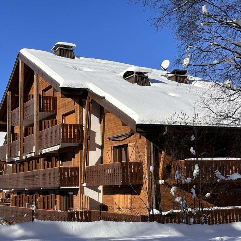 Studio spacieux 4 pers avec garage, lave-vaisselle aux Carroz - FR-1-572-159 - Studio - 11