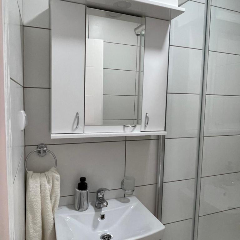 Stojicic ROYAL - Apartman sa 2 Spavaće Sobe - 17