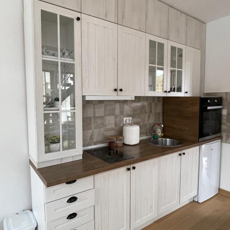 Stojicic ROYAL - Apartman sa 2 Spavaće Sobe - 6
