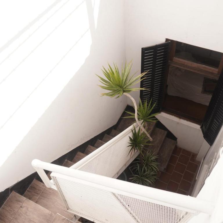 PH en La Plata con terraza - Apartamento con terraza - 10