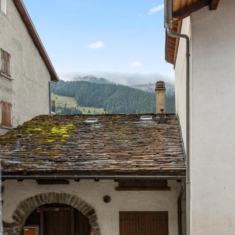 Grand-St-Bernard, Liddes - 4 pers - cosy & rénové - Apartment mit 1 Schlafzimmer - 41