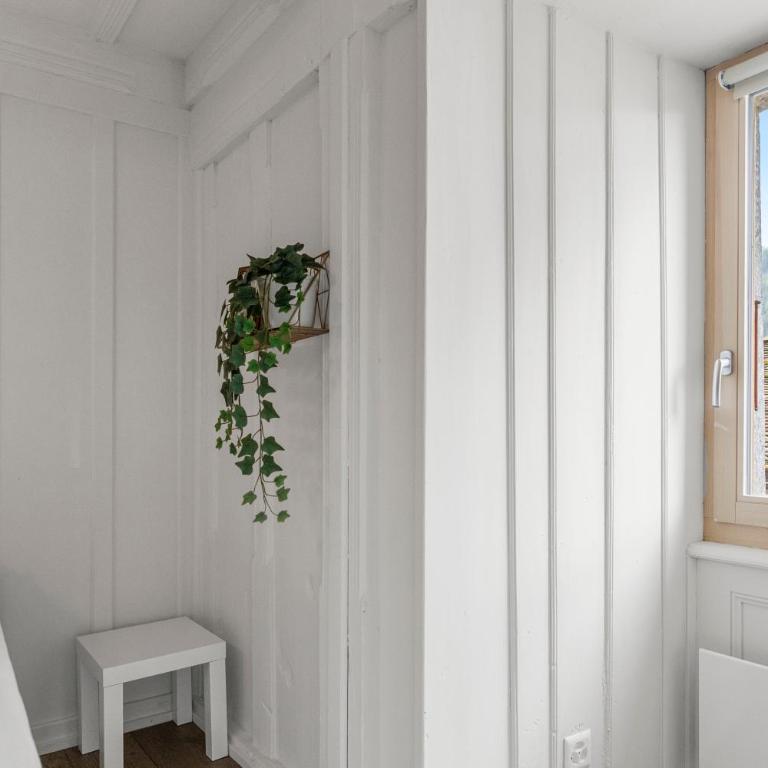 Grand-St-Bernard, Liddes - 4 pers - cosy & rénové - Apartment mit 1 Schlafzimmer - 36