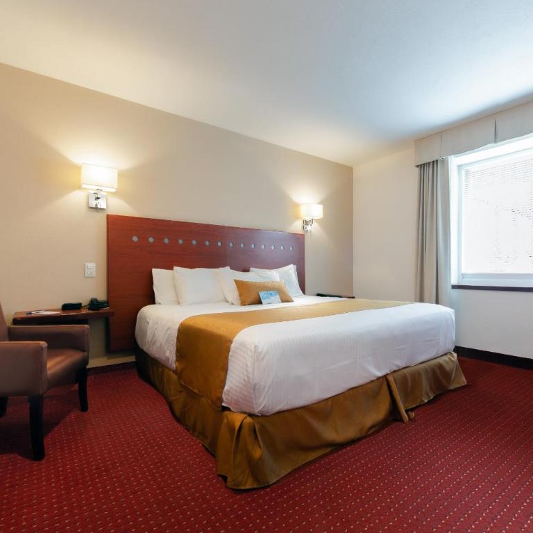 Comfort Inn Queretaro Tecnologico - Efficiency King Room - Accessible/Non-Smoking - 5