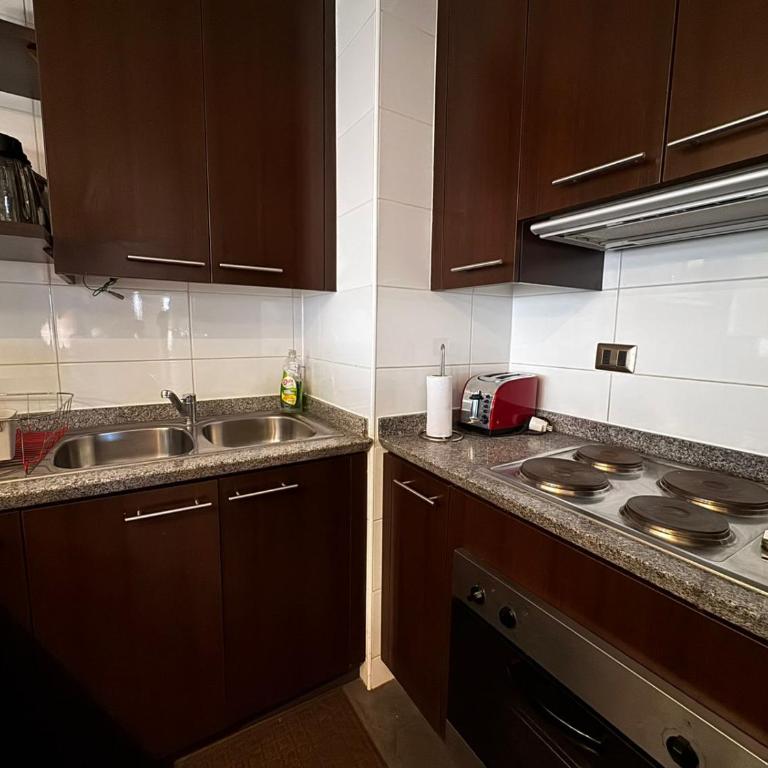 HOM I En el Centro SKI Valle Nevado 3D2B SKI IN y OUT - Apartment - 4