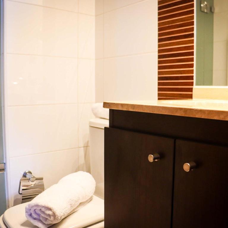 HOM I En el Centro SKI Valle Nevado 3D2B SKI IN y OUT - Apartment - 14
