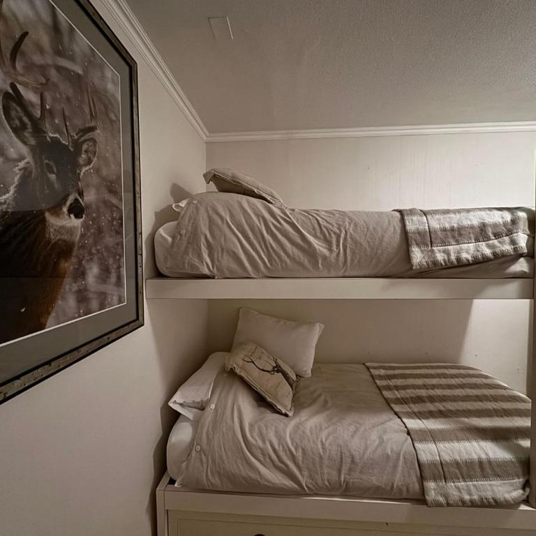 HOM I En el Centro SKI Valle Nevado 3D2B SKI IN y OUT - Apartment - 27