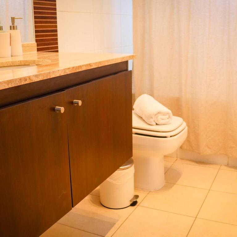 HOM I En el Centro SKI Valle Nevado 3D2B SKI IN y OUT - Apartment - 32