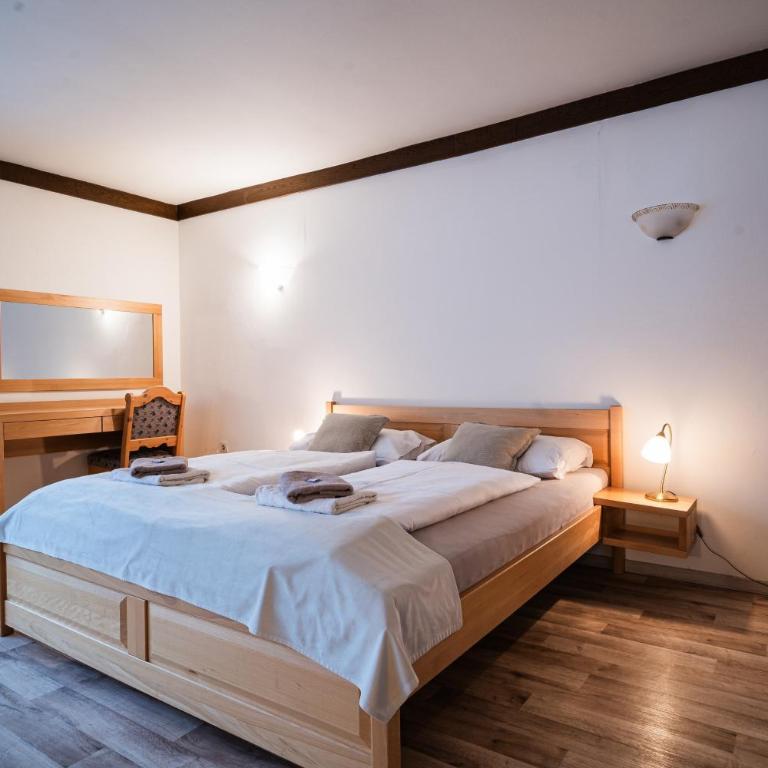 Alpenpension Haslinger - Studio mit Bergblick - 7