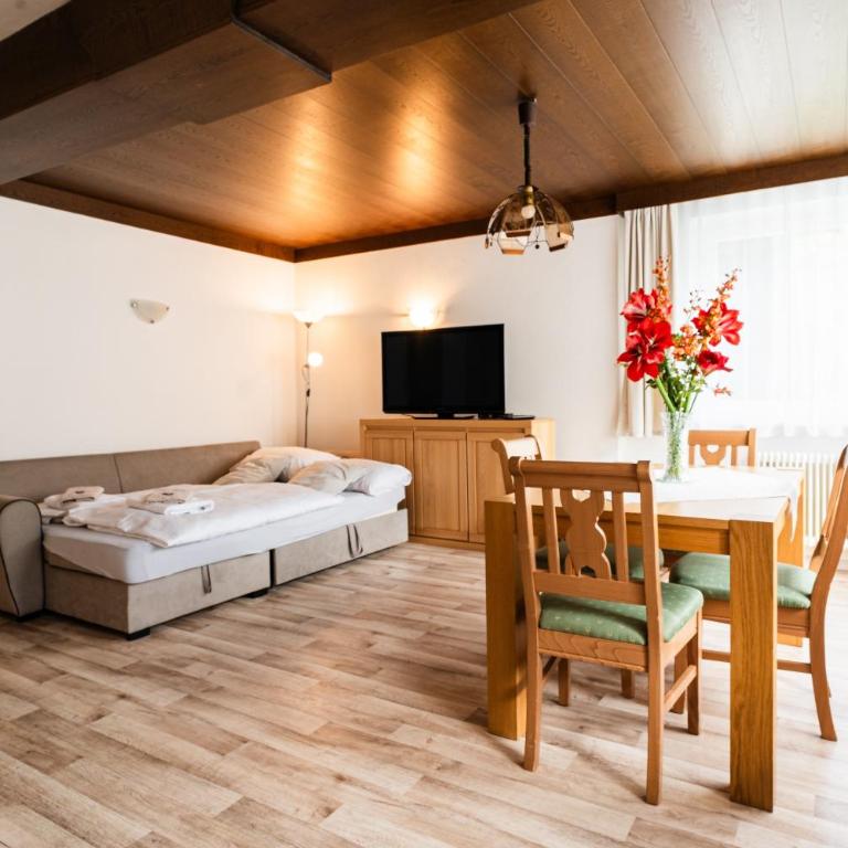Alpenpension Haslinger - Studio mit Bergblick - 3